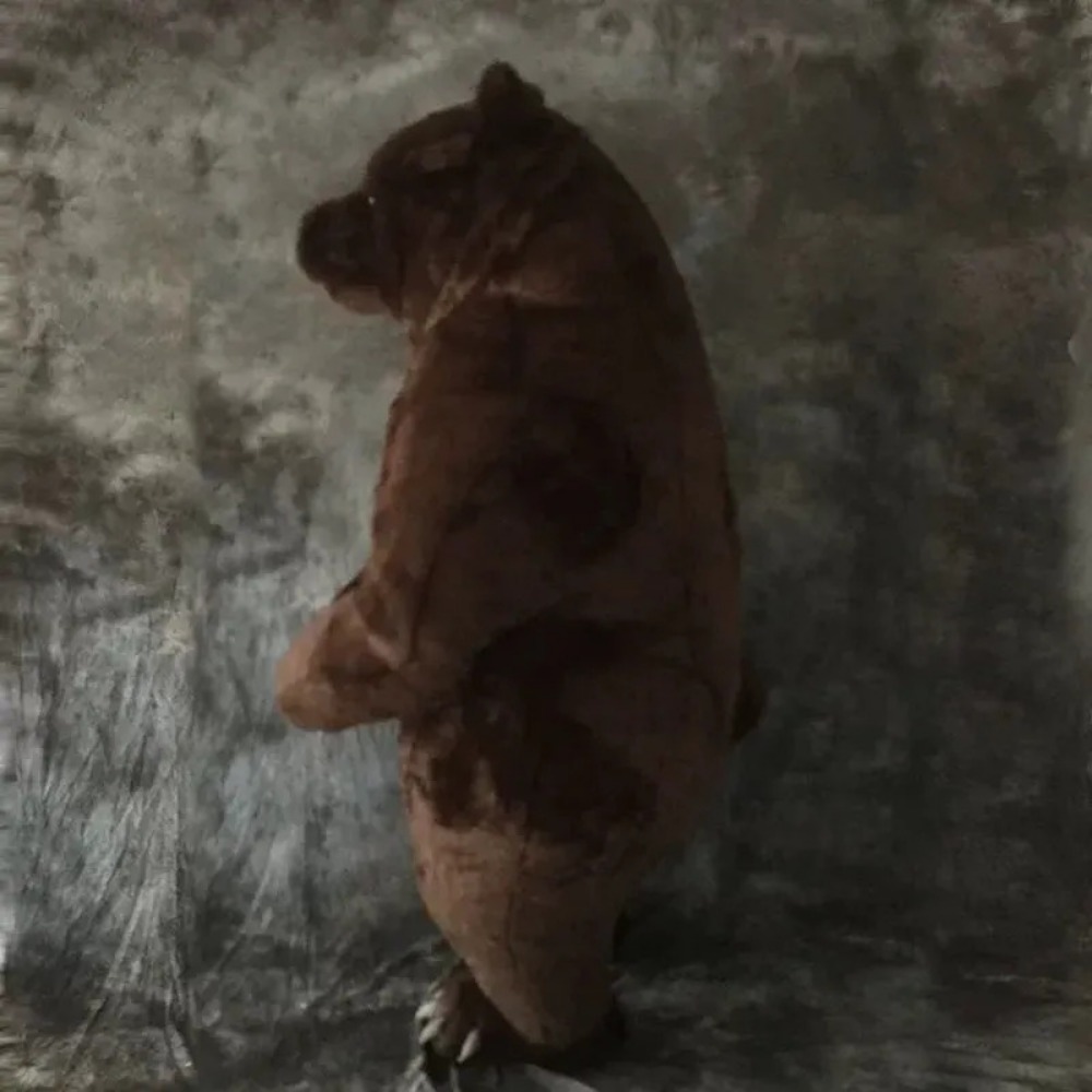 Costume de mascotte d'ours bru - Chargers avis et prix